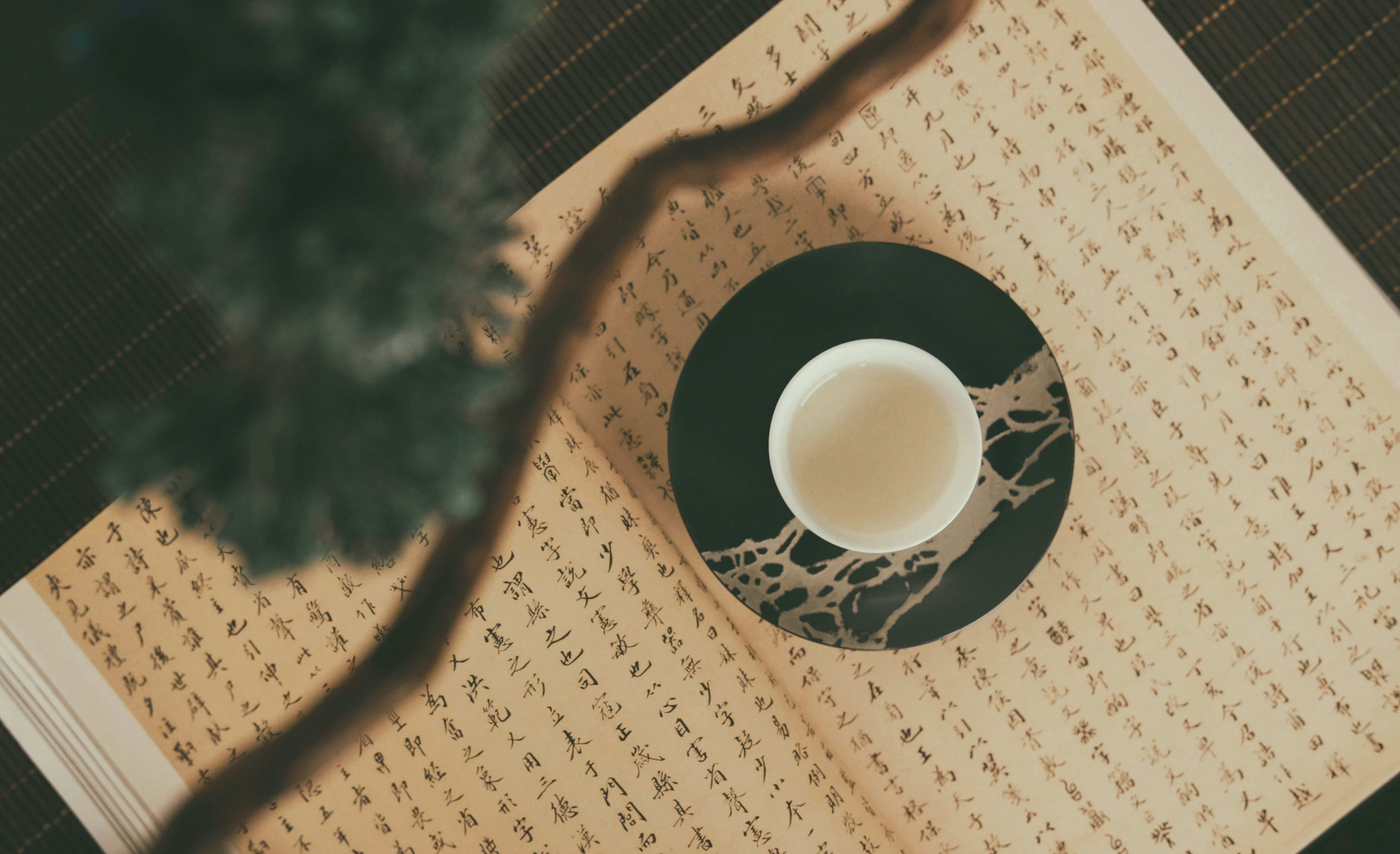A calm treatment setting with natural details