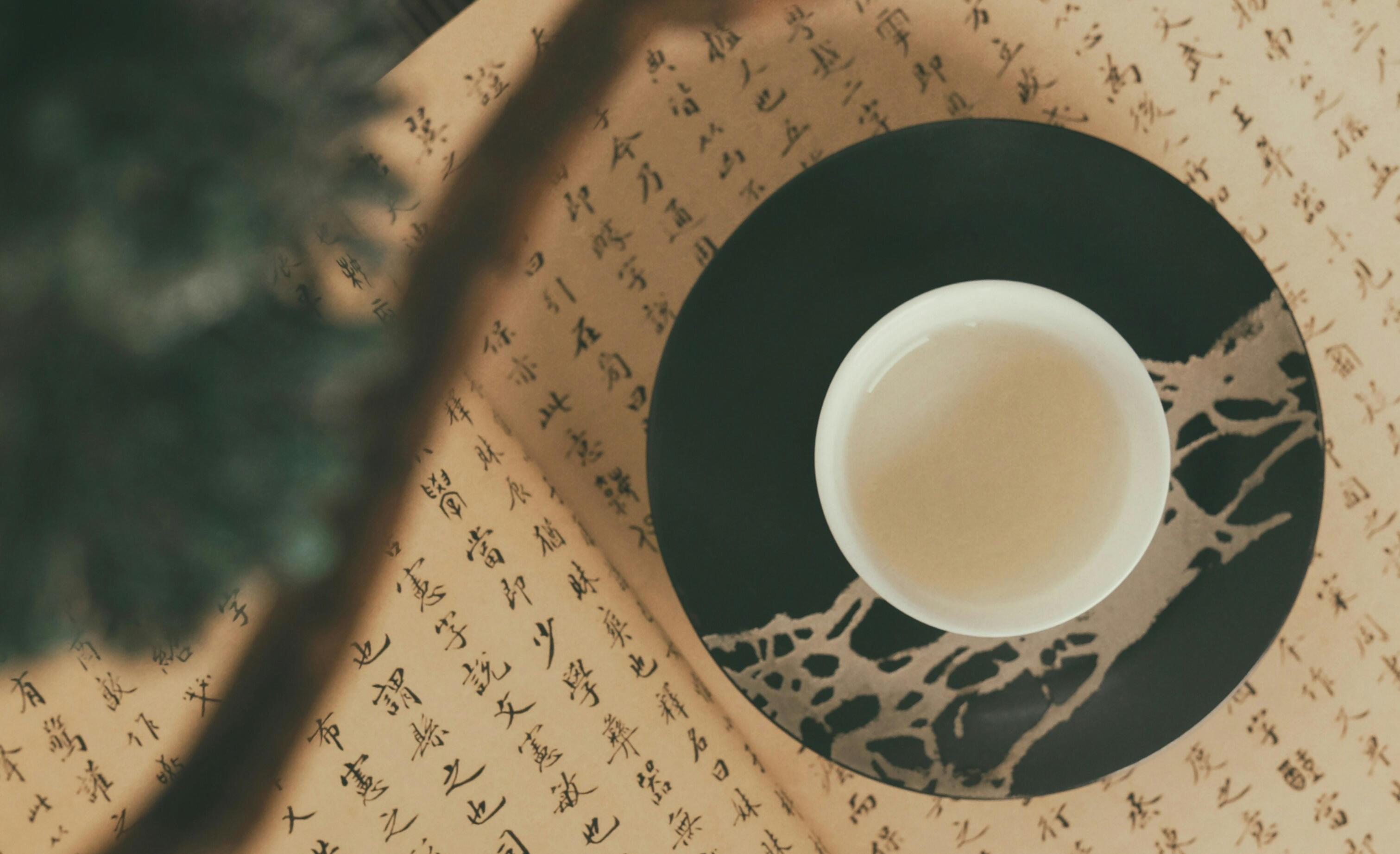 Traditional Tea and Chinese Medicine Cup of Chinese tea with Chinese writing in the background