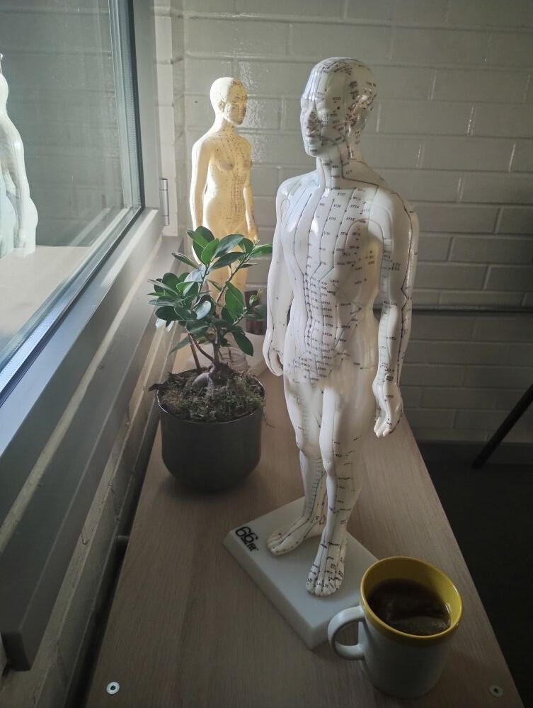 ane Eaglesham Acupuncture treatment room Acupuncture models and herbal tea in a calm treatment room